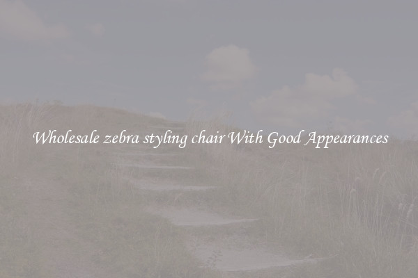 Wholesale zebra styling chair With Good Appearances