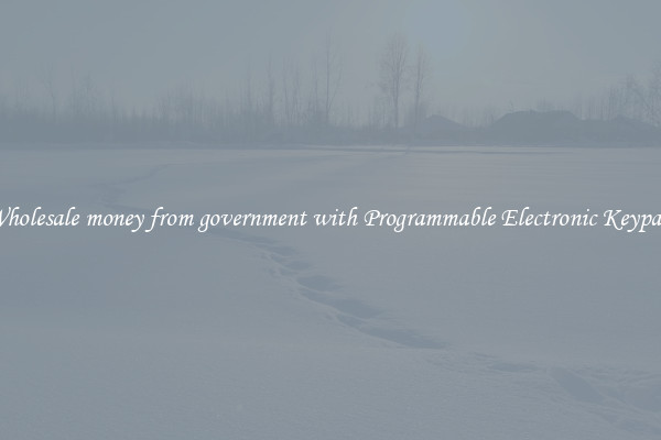 Wholesale money from government with Programmable Electronic Keypad 