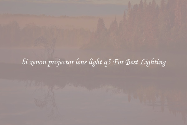 bi xenon projector lens light q5 For Best Lighting