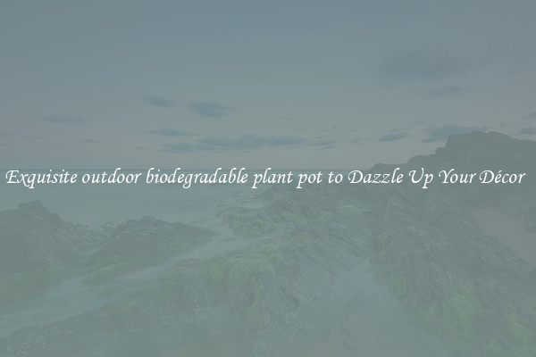 Exquisite outdoor biodegradable plant pot to Dazzle Up Your Décor  