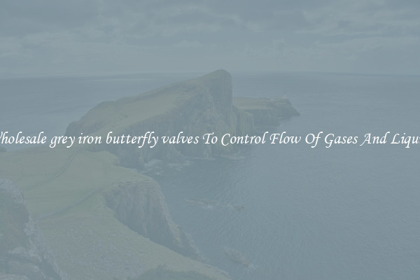 Wholesale grey iron butterfly valves To Control Flow Of Gases And Liquids