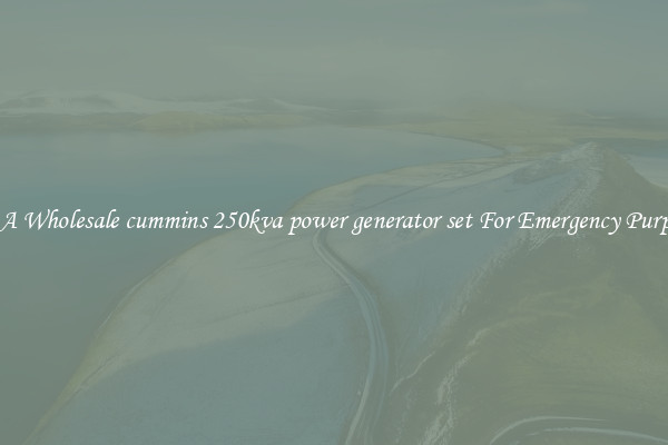 Get A Wholesale cummins 250kva power generator set For Emergency Purposes