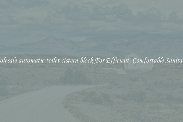 Wholesale automatic toilet cistern block For Efficient, Comfortable Sanitation
