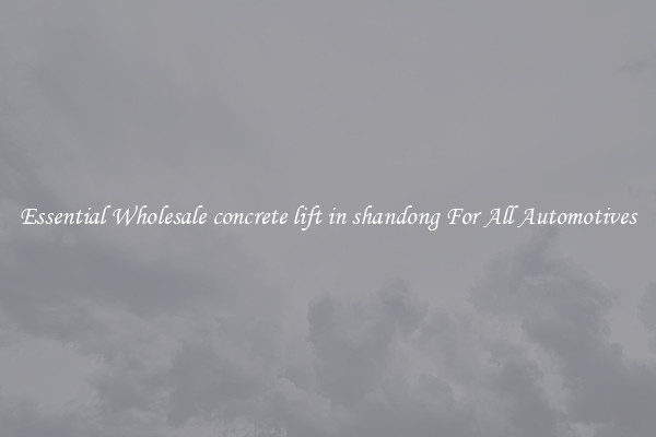 Essential Wholesale concrete lift in shandong For All Automotives