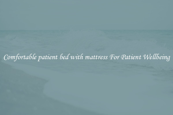 Comfortable patient bed with mattress For Patient Wellbeing