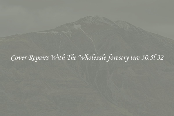  Cover Repairs With The Wholesale forestry tire 30.5l 32 