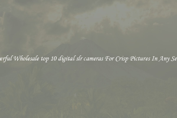 Powerful Wholesale top 10 digital slr cameras For Crisp Pictures In Any Setting