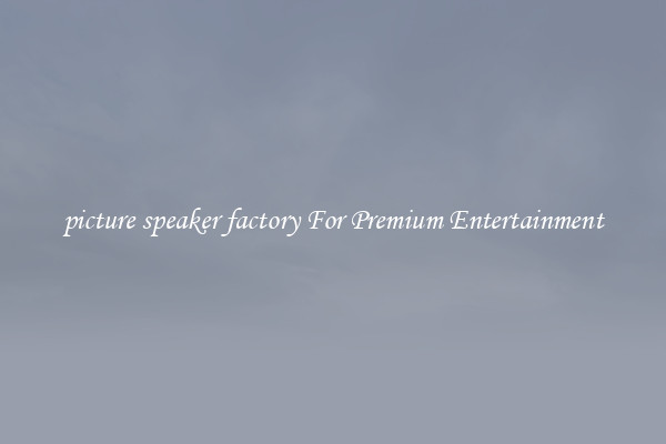picture speaker factory For Premium Entertainment
