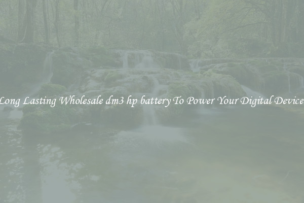 Long Lasting Wholesale dm3 hp battery To Power Your Digital Devices