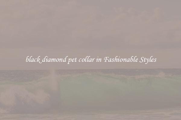 black diamond pet collar in Fashionable Styles