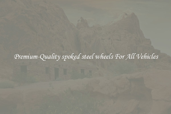 Premium-Quality spoked steel wheels For All Vehicles