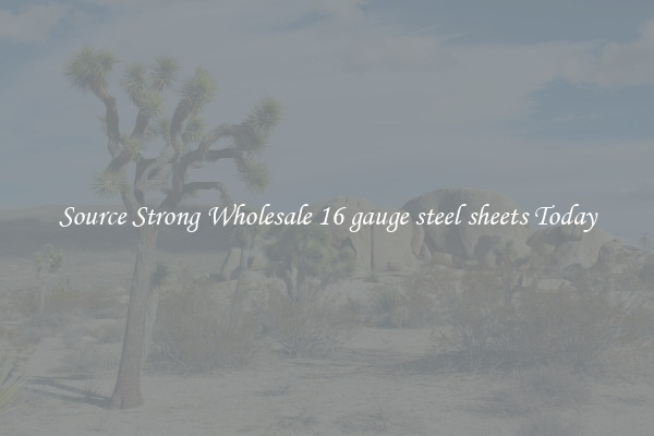 Source Strong Wholesale 16 gauge steel sheets Today