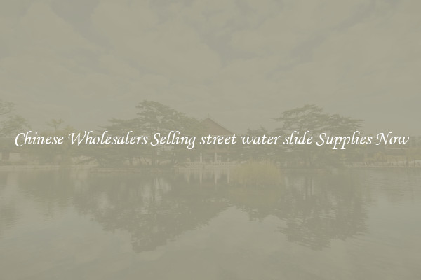 Chinese Wholesalers Selling street water slide Supplies Now