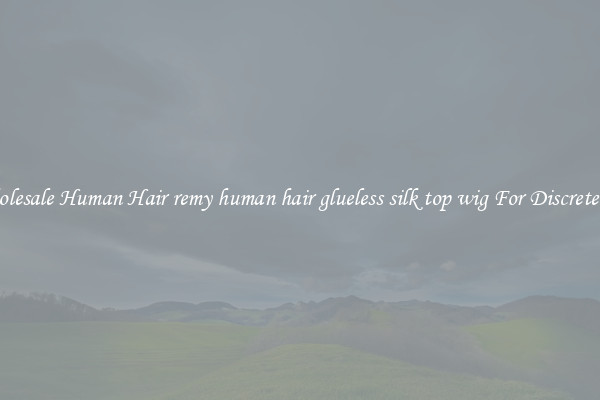 Wholesale Human Hair remy human hair glueless silk top wig For Discreteness