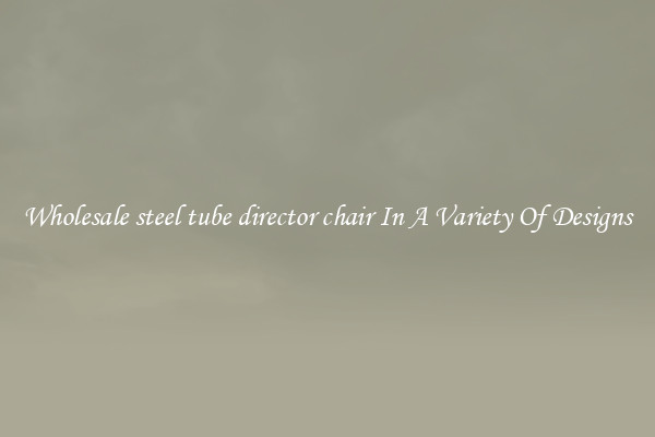 Wholesale steel tube director chair In A Variety Of Designs