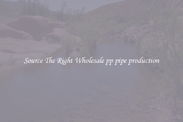 Source The Right Wholesale pp pipe production