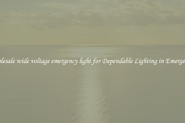 Wholesale wide voltage emergency light for Dependable Lighting in Emergencies