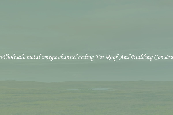 Buy Wholesale metal omega channel ceiling For Roof And Building Construction
