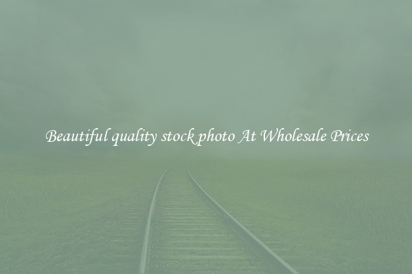 Beautiful quality stock photo At Wholesale Prices