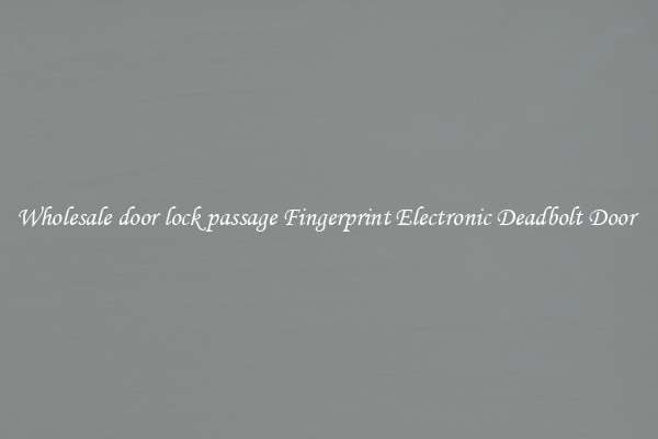 Wholesale door lock passage Fingerprint Electronic Deadbolt Door 