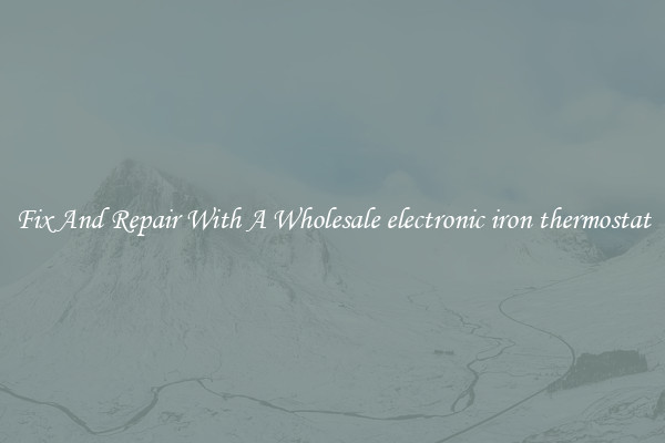 Fix And Repair With A Wholesale electronic iron thermostat