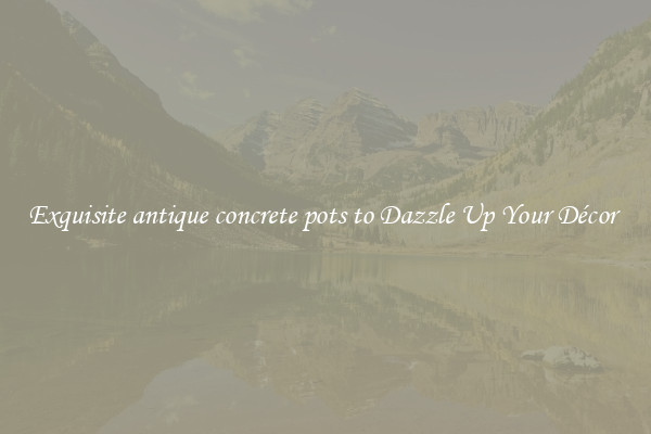 Exquisite antique concrete pots to Dazzle Up Your Décor 